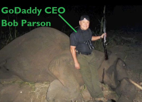 GoDaddy CEO bob parsons kills elephants