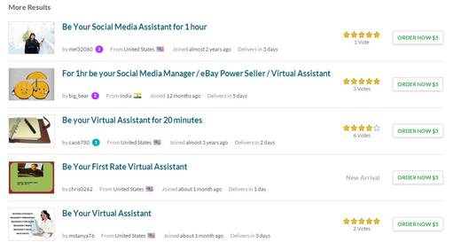 social media virtual assistant